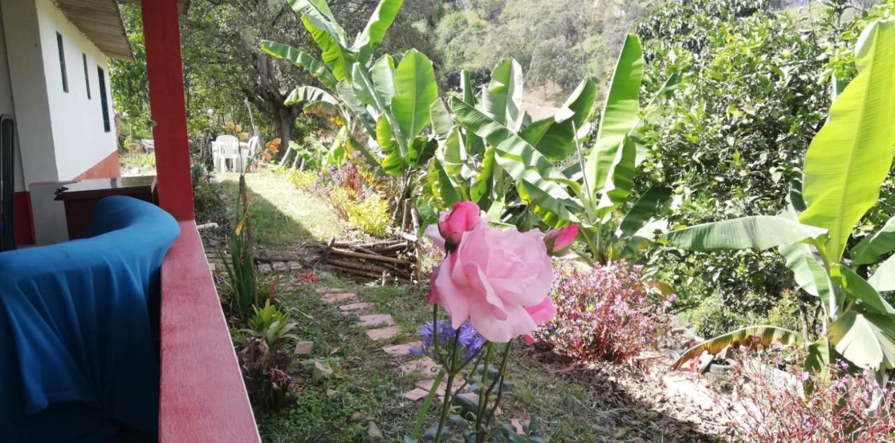 Finca Umnisa - Choachí Exteriér fotografie